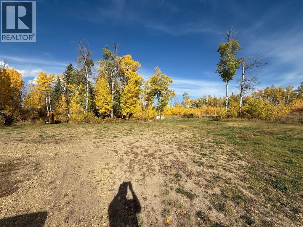 4081 Township Road 792, Rycroft, Alberta  T0H 3A0 - Photo 10 - A2262752