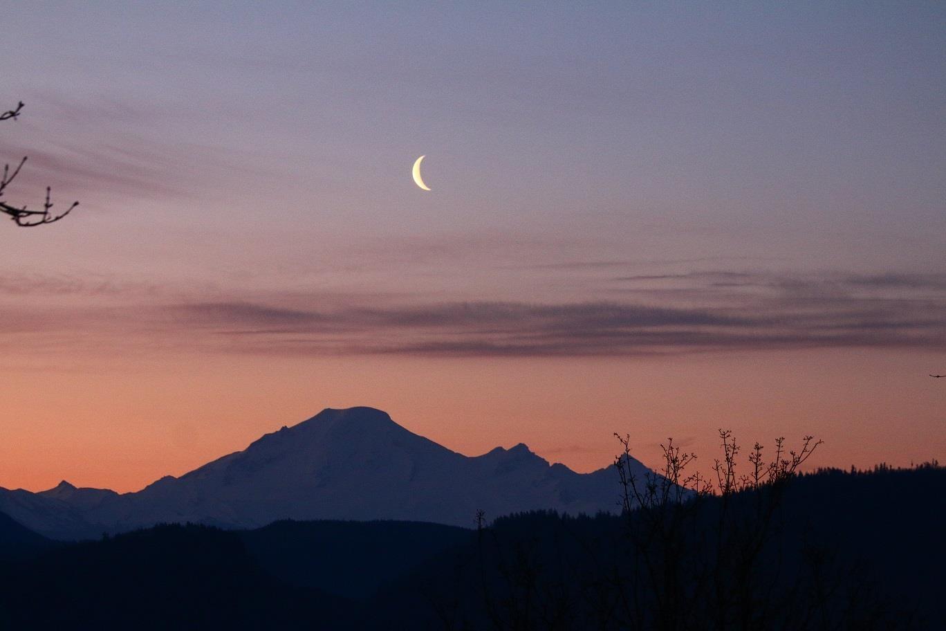 2523 Country Court, Abbotsford, British Columbia  V3G 1M1 - Photo 34 - R3116007