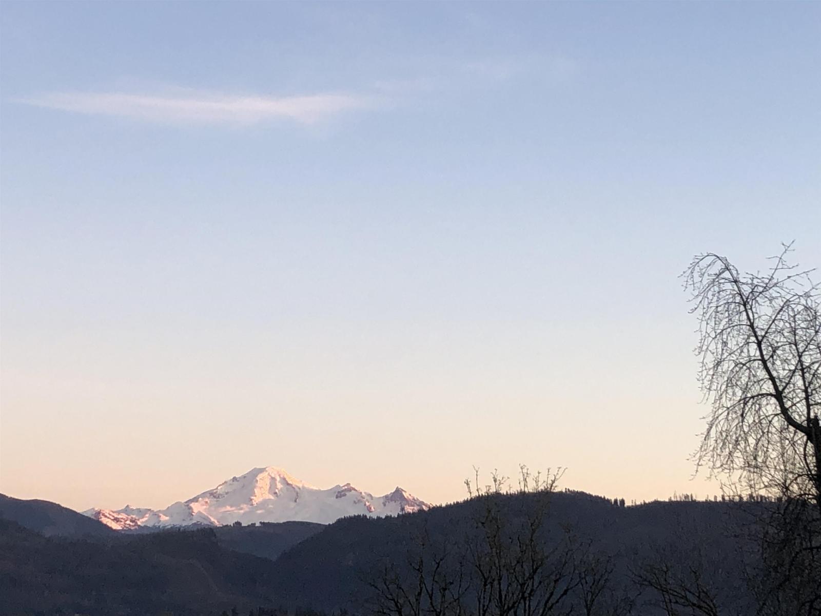 2523 Country Court, Abbotsford, British Columbia  V3G 1M1 - Photo 33 - R3116007