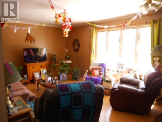 00 Springdale Junction Other, Springdale, Newfoundland & Labrador  A0J 1T0 - Photo 12 - 1296675