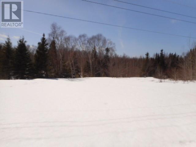 00 Springdale Junction Other, Springdale, Newfoundland & Labrador  A0J 1T0 - Photo 4 - 1296675