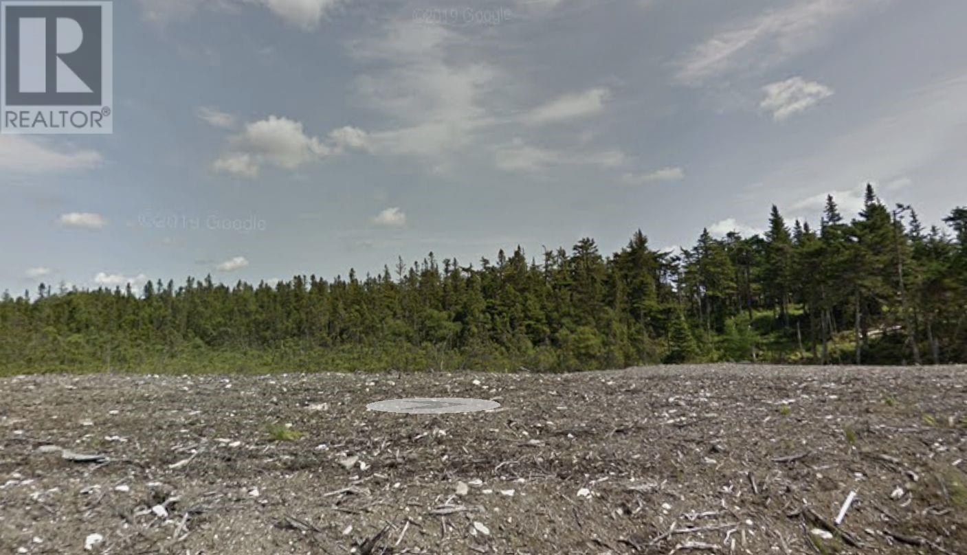 159 Amber Drive, Whitbourne, Newfoundland & Labrador  A0B 0C2 - Photo 2 - 1296638