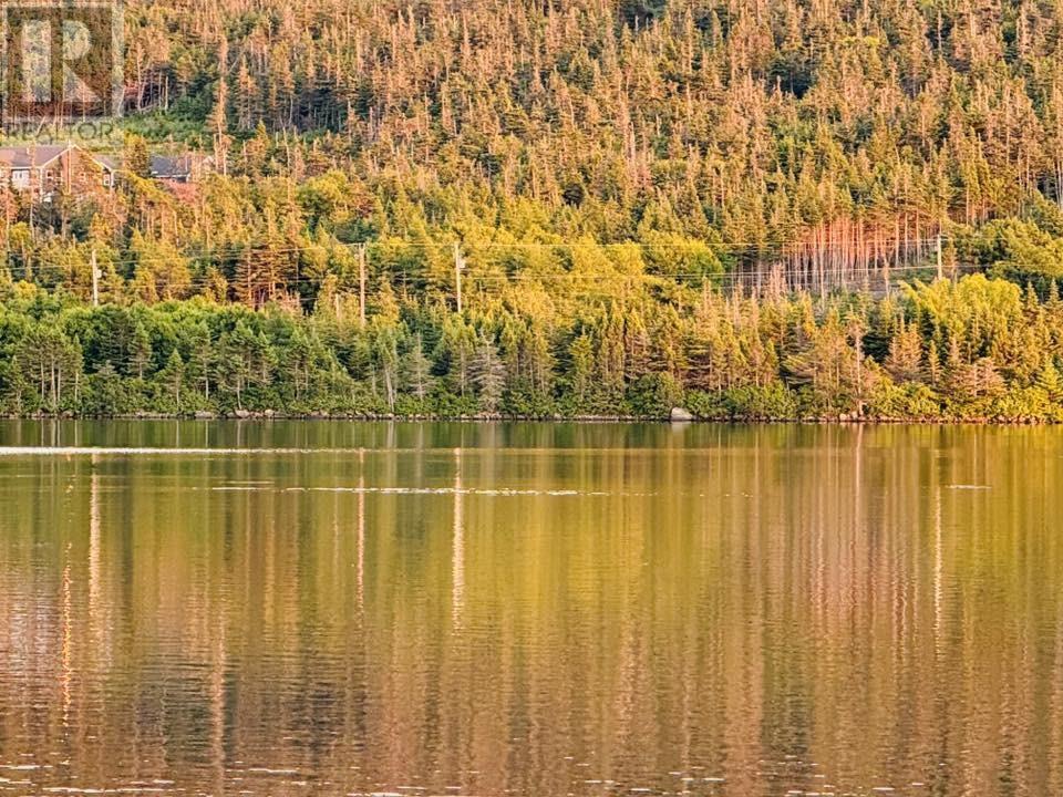 6 Island Cove Place, Cape Broyle, Newfoundland & Labrador  A0A 1P0 - Photo 37 - 1296261