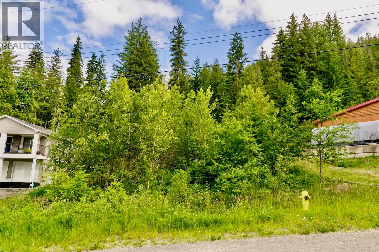 2747 Fairview Road Lot# 366, Anglemont, British Columbia  V0E 1M8 - Photo 4 - 10384255