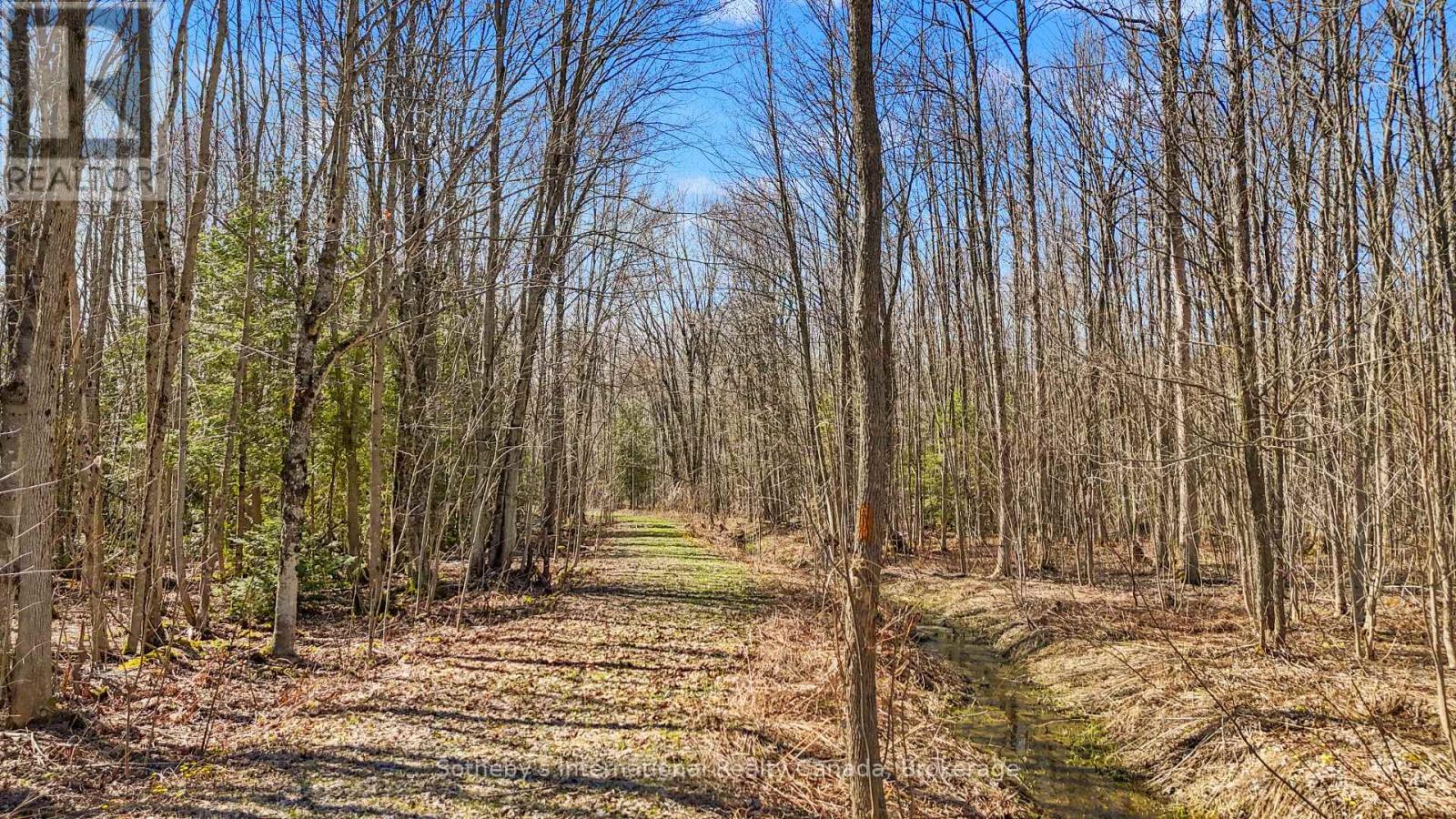 403419 Concession 20 Road, Georgian Bluffs, Ontario  N0H 1S0 - Photo 43 - X13030574