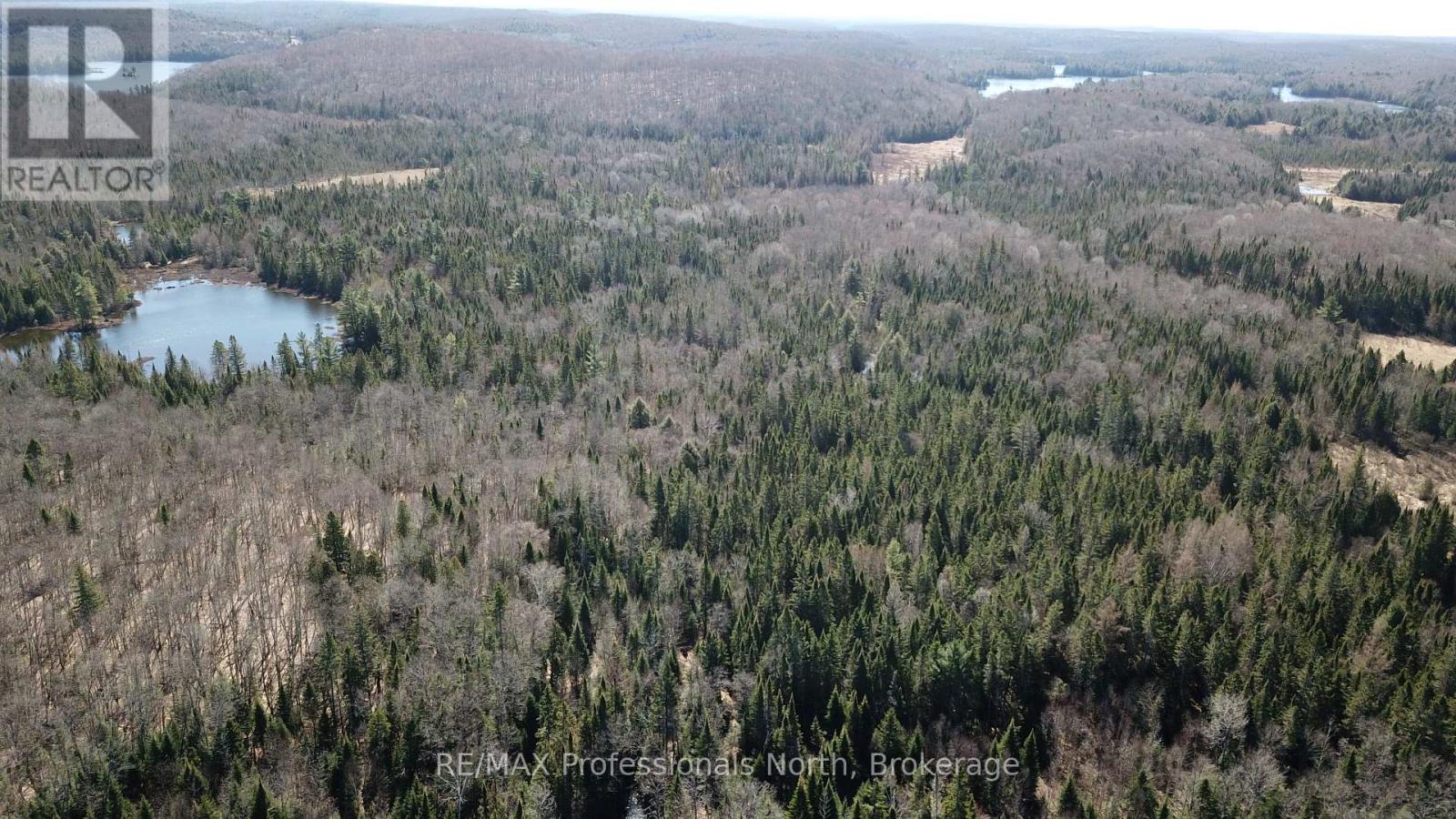 00 South Horn Lake Road, Magnetawan, Ontario  P0B 1C0 - Photo 2 - X13044512