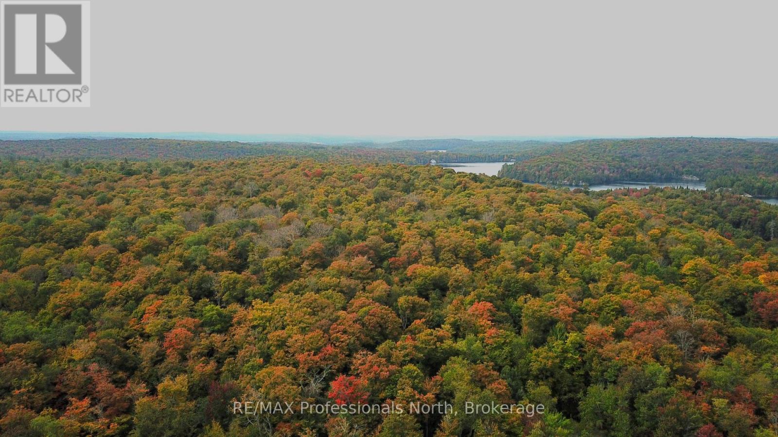 00 South Horn Lake Road, Magnetawan, Ontario  P0B 1C0 - Photo 8 - X13044512