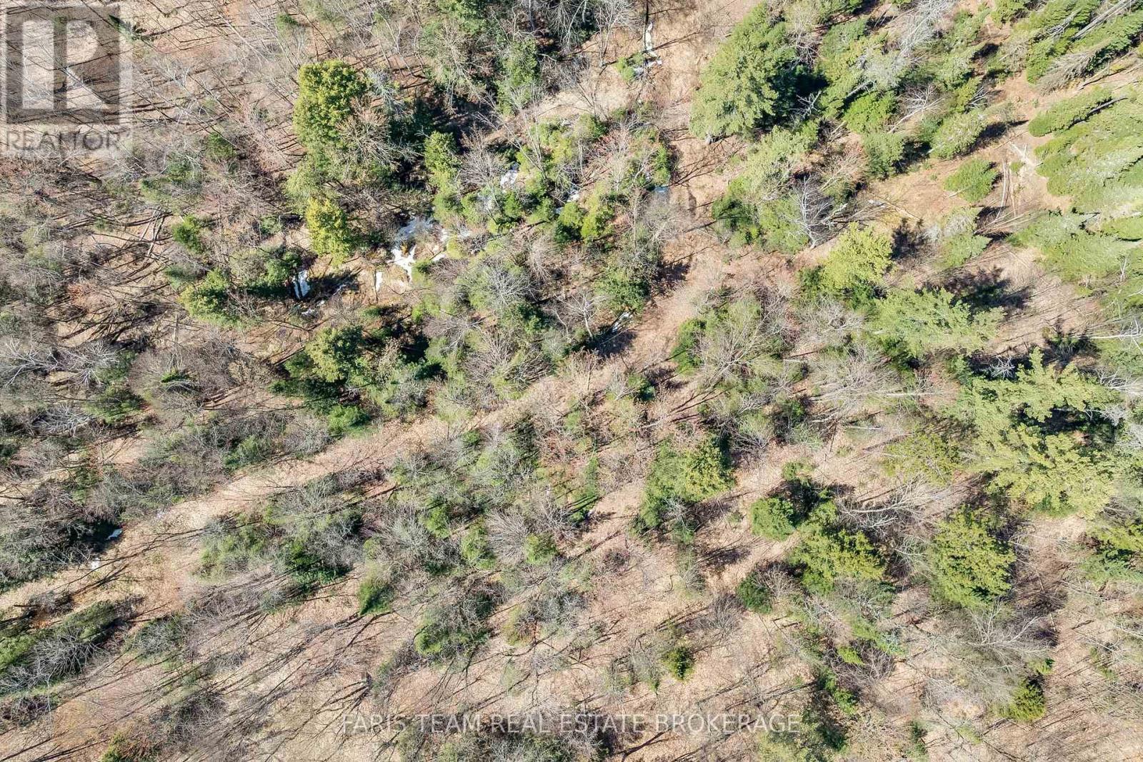 2180-2186 Hwy 141, Muskoka Lakes, Ontario  P0B 1L0 - Photo 13 - X12860370