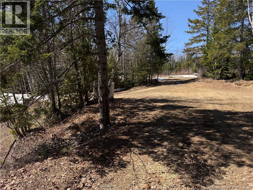 267 Marcoux Street, Balmoral, New Brunswick  E8E 1J3 - Photo 30 - NB133684