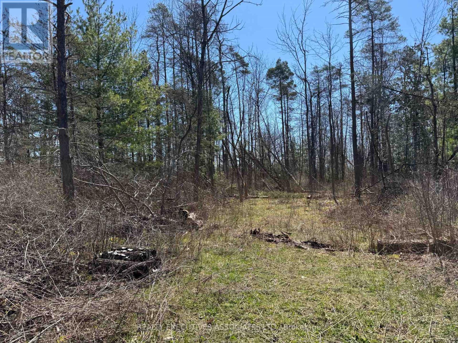 6192 County Rd 50, Trent Hills, Ontario  K0L 1L0 - Photo 3 - X13052456