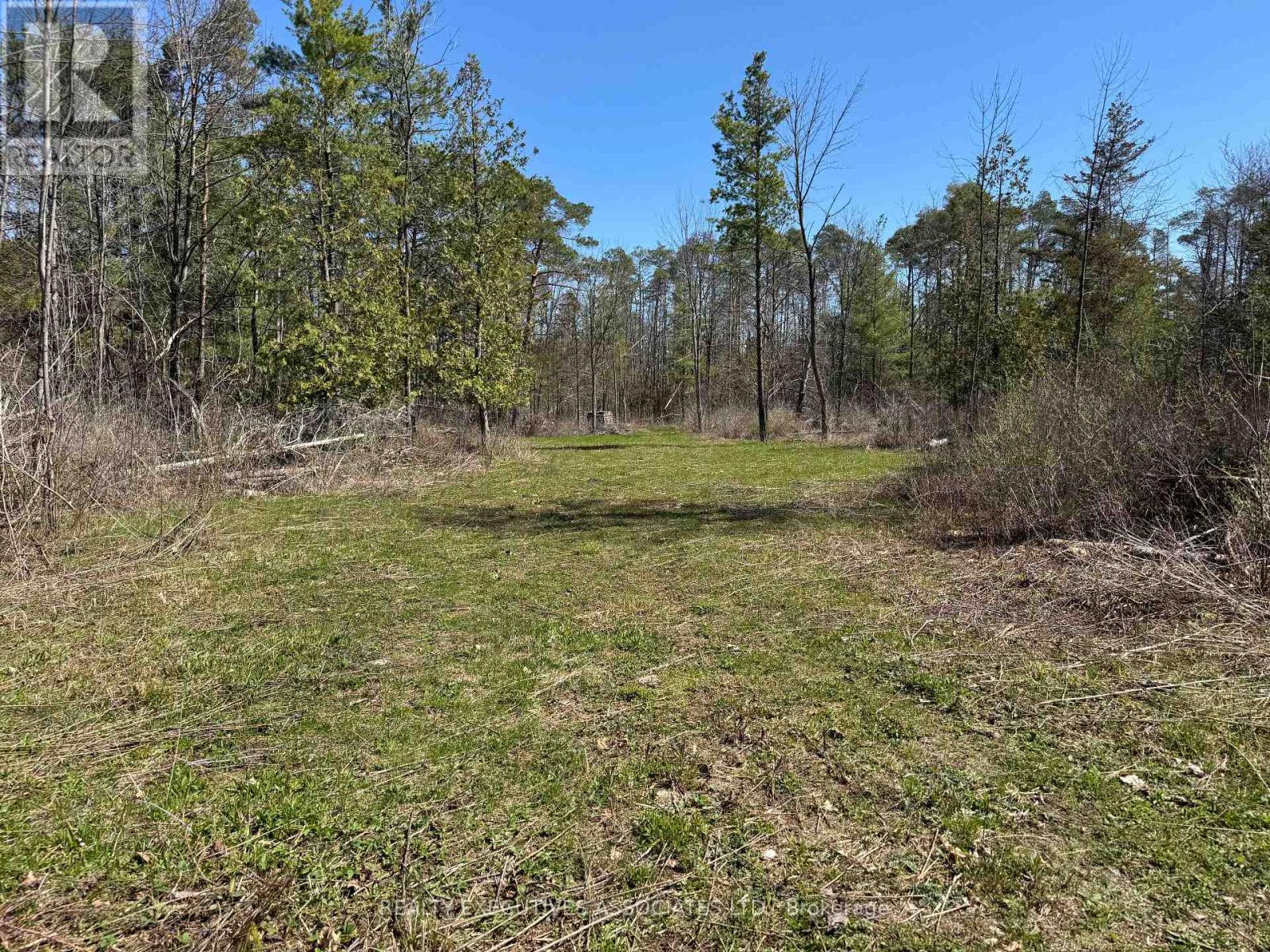 6192 County Rd 50, Trent Hills, Ontario  K0L 1L0 - Photo 4 - X13052456