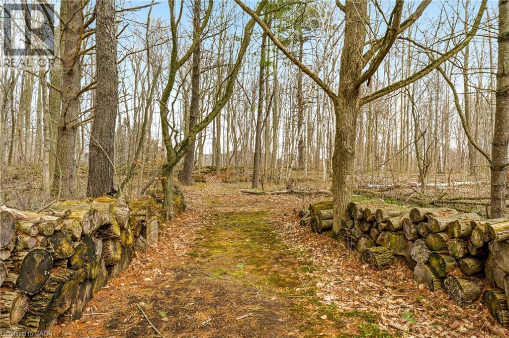 6685 Mcniven Road, Burlington, Ontario  L7P 0K2 - Photo 47 - 40822578