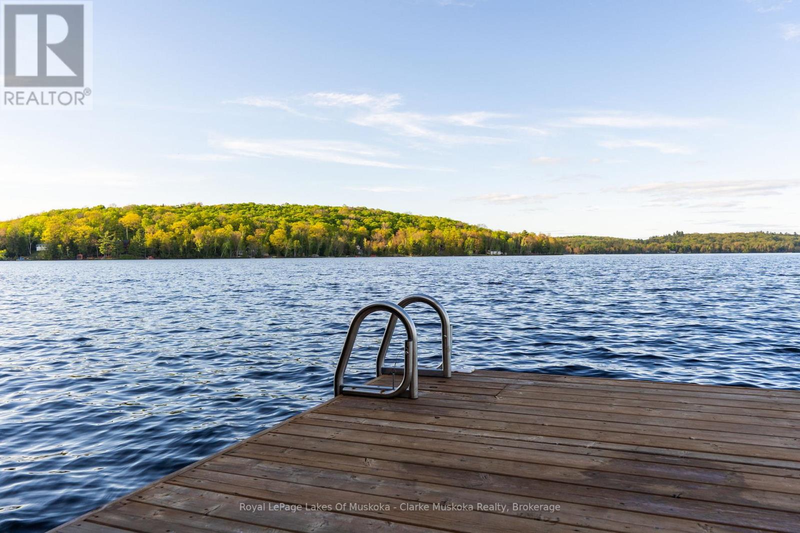 1311 S. Ril Lake Road, Lake Of Bays, Ontario  P0B 1A0 - Photo 12 - X13052448