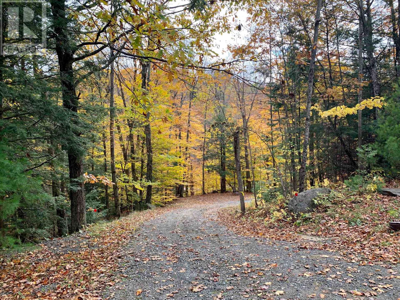 1311 S. Ril Lake Road, Lake Of Bays, Ontario  P0B 1A0 - Photo 3 - X13052448