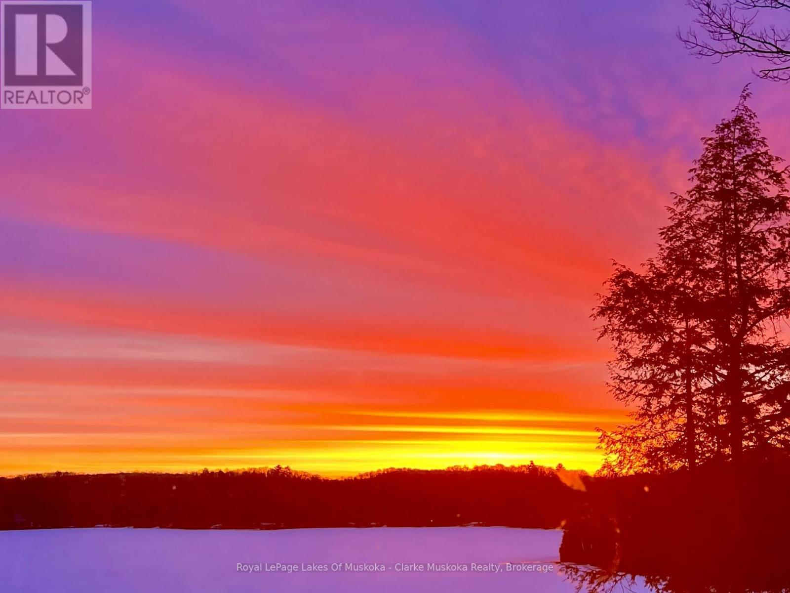 1311 S. Ril Lake Road, Lake Of Bays, Ontario  P0B 1A0 - Photo 9 - X13052448