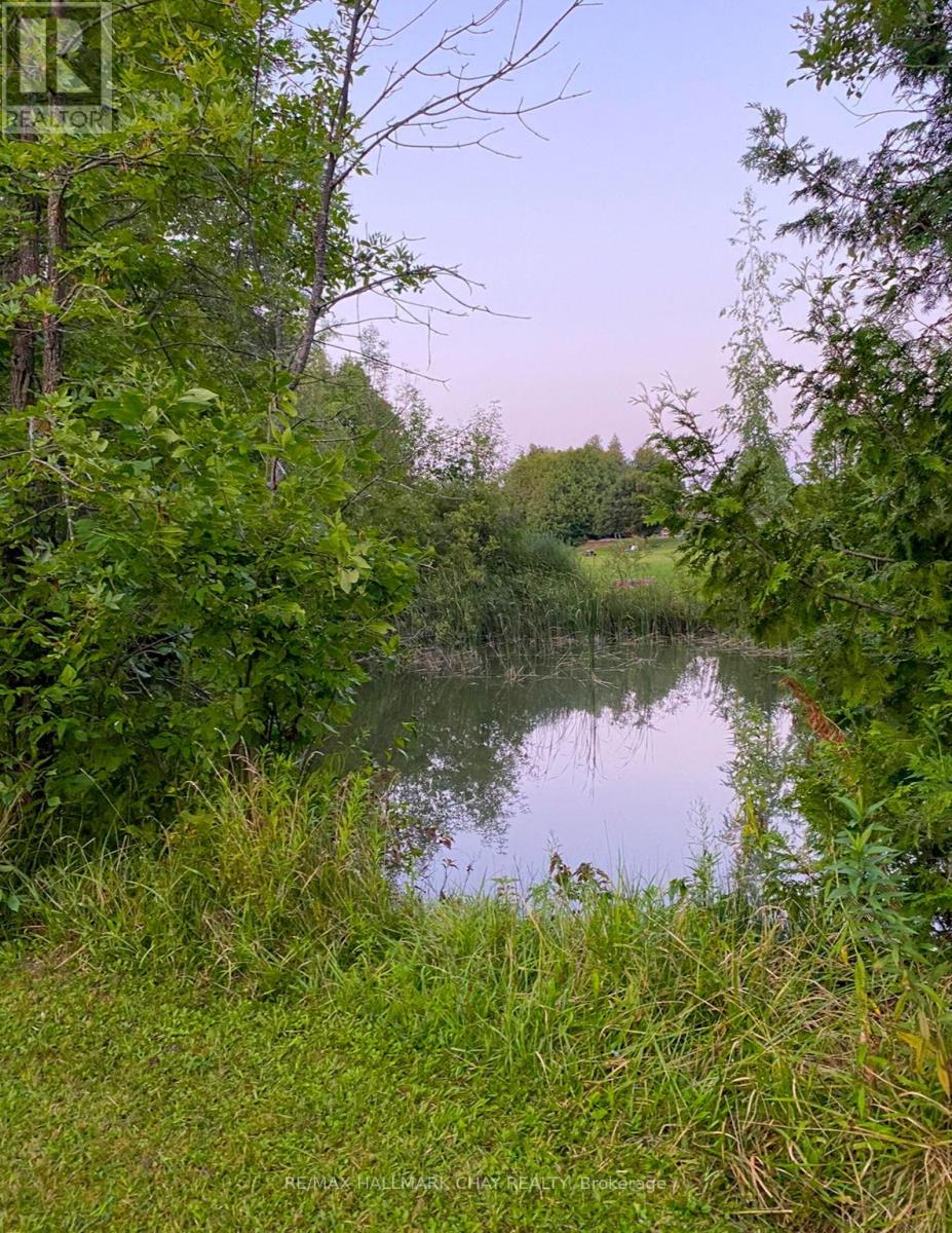 4684 10th Side Road, Essa, Ontario  L0L 2N0 - Photo 28 - N12756070