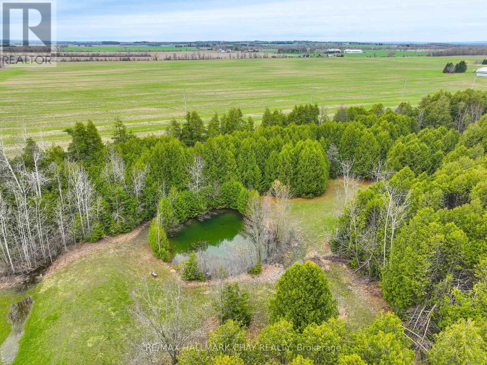 4684 10th Side Road, Essa, Ontario  L0L 2N0 - Photo 25 - N12756070