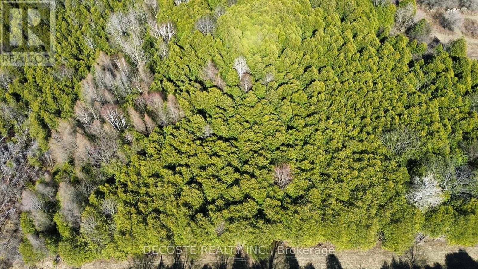 N/a Auld Mcmillan Road, North Glengarry, Ontario  K0C 1A0 - Photo 11 - X13052370