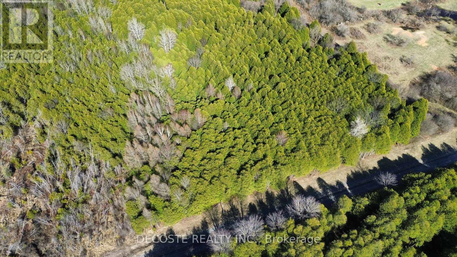 N/a Auld Mcmillan Road, North Glengarry, Ontario  K0C 1A0 - Photo 7 - X13052370