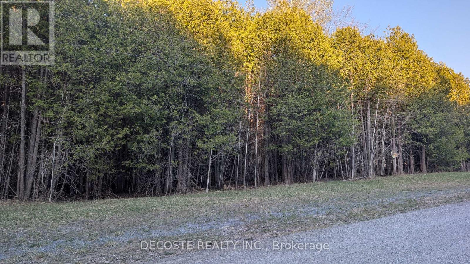 N/a Auld Mcmillan Road, North Glengarry, Ontario  K0C 1A0 - Photo 9 - X13052370