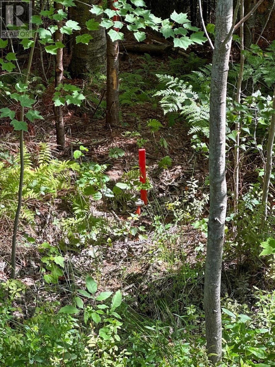 Lot 100-R Crouses Settlement Road, Crouses Settlement, Nova Scotia  B0J 2C0 - Photo 12 - 202604221