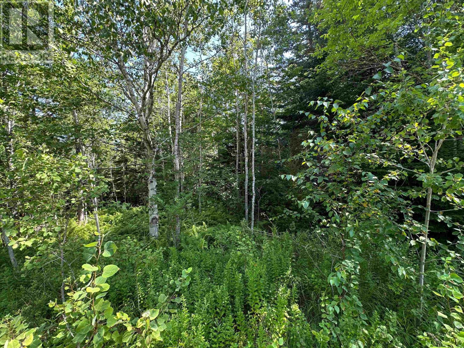 Lot 100-R Crouses Settlement Road, Crouses Settlement, Nova Scotia  B0J 2C0 - Photo 14 - 202604221