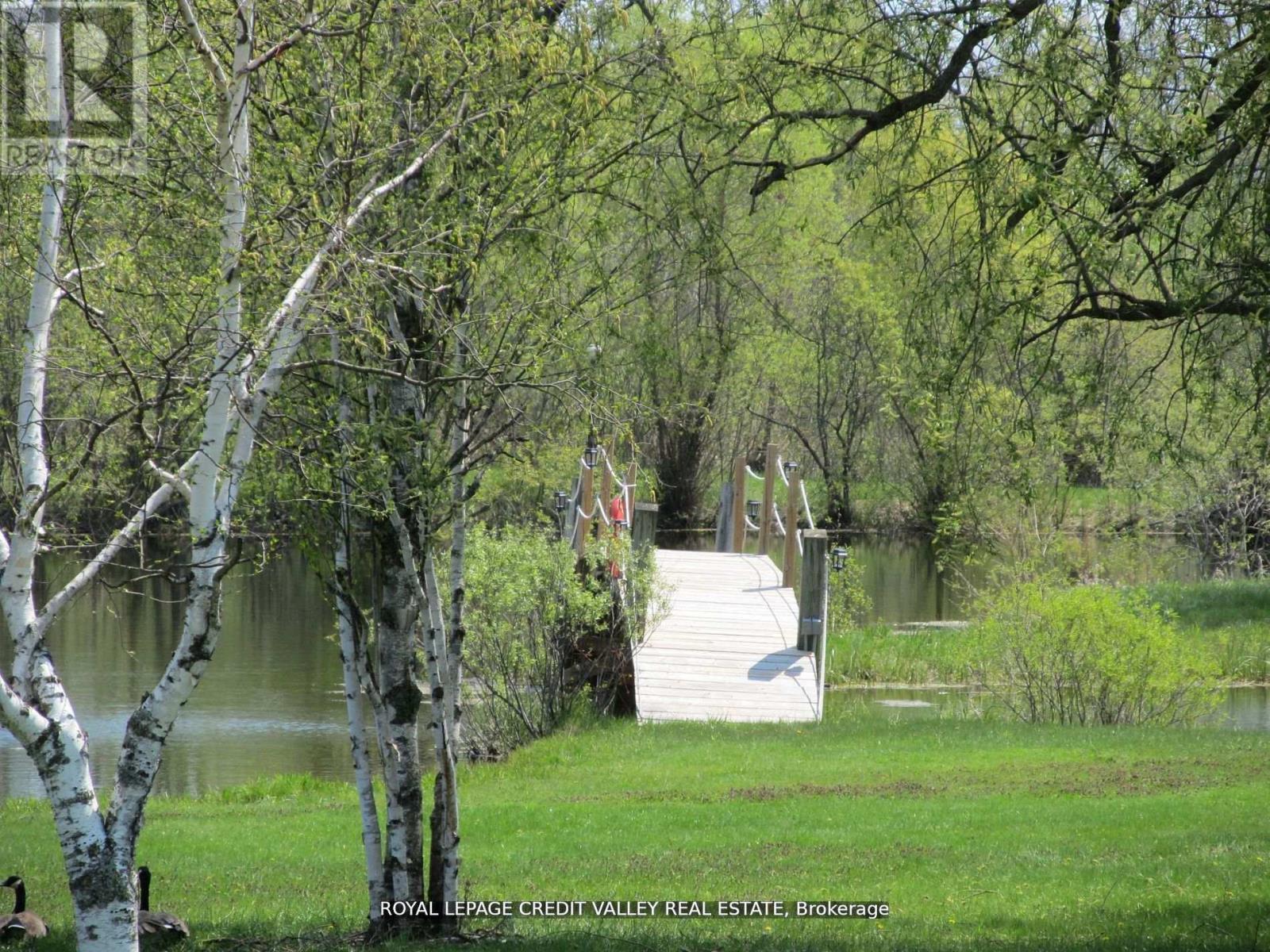 476345 3rd Line, Melancthon, Ontario  L9V 1T4 - Photo 19 - X12674124