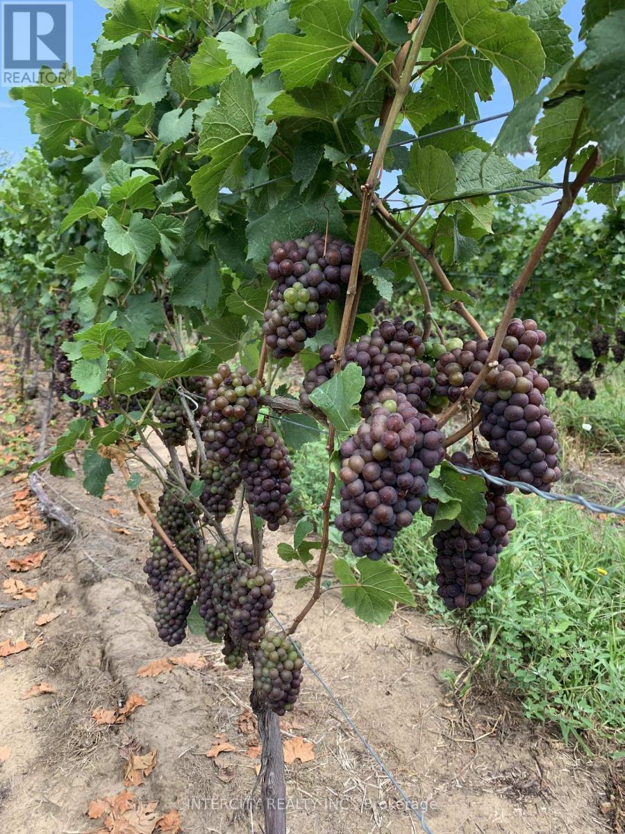 450 Queenston Road, Niagara-On-The-Lake, Ontario  L0S 0J1 - Photo 21 - X13039656