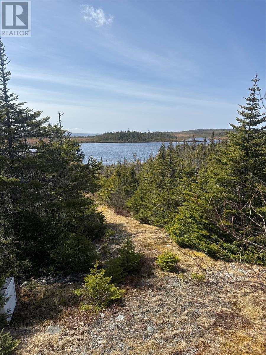 135 Nine Mile Road, Colinet, Newfoundland & Labrador  A0B 1M0 - Photo 19 - 1296673