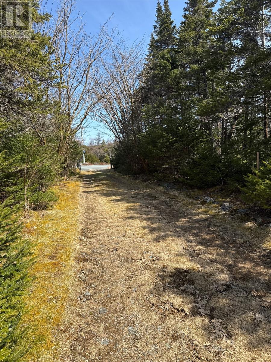 135 Nine Mile Road, Colinet, Newfoundland & Labrador  A0B 1M0 - Photo 20 - 1296673