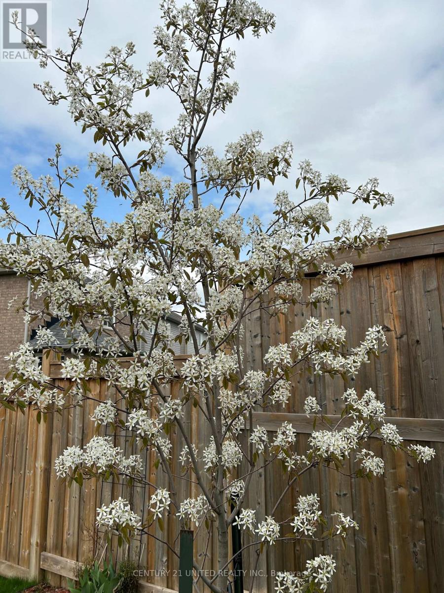 14 Summer Lane, Peterborough, Ontario  K9L 0G4 - Photo 34 - X12910076