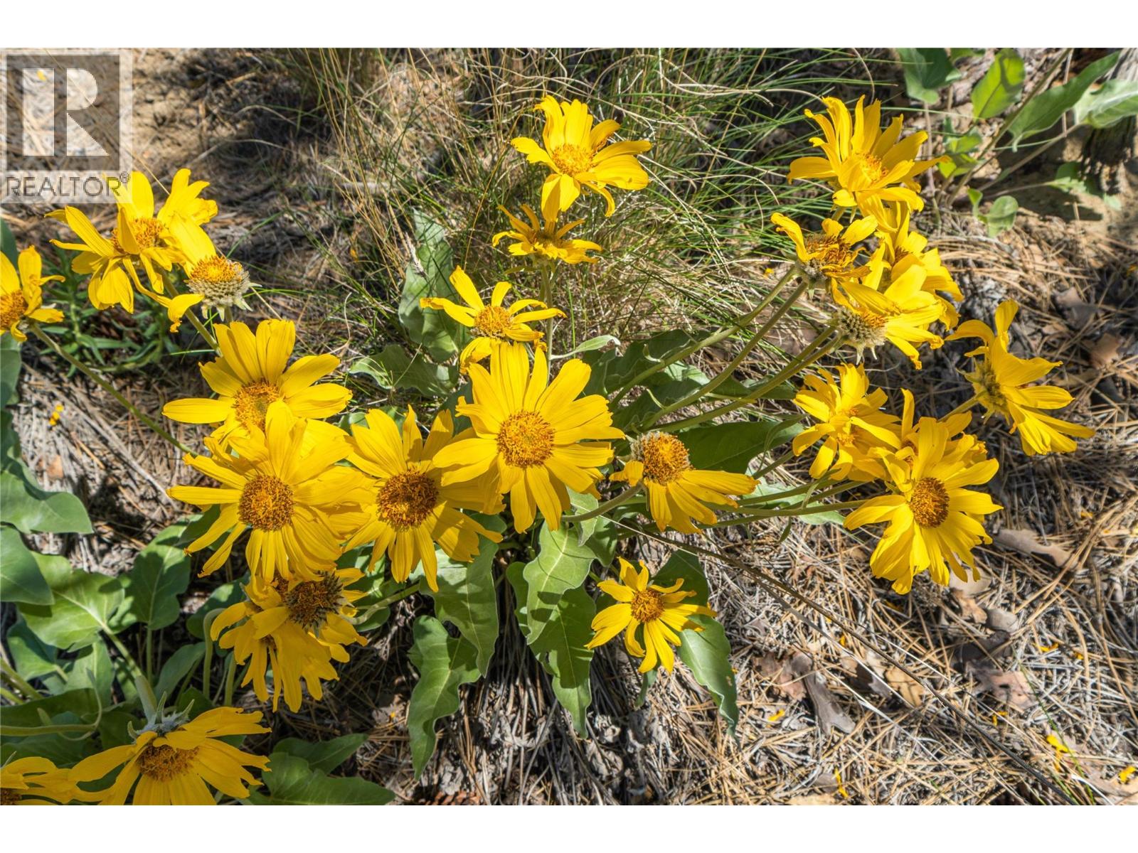 6828 Barnhartvale Road, Kamloops, British Columbia  V2C 6V7 - Photo 63 - 10384329