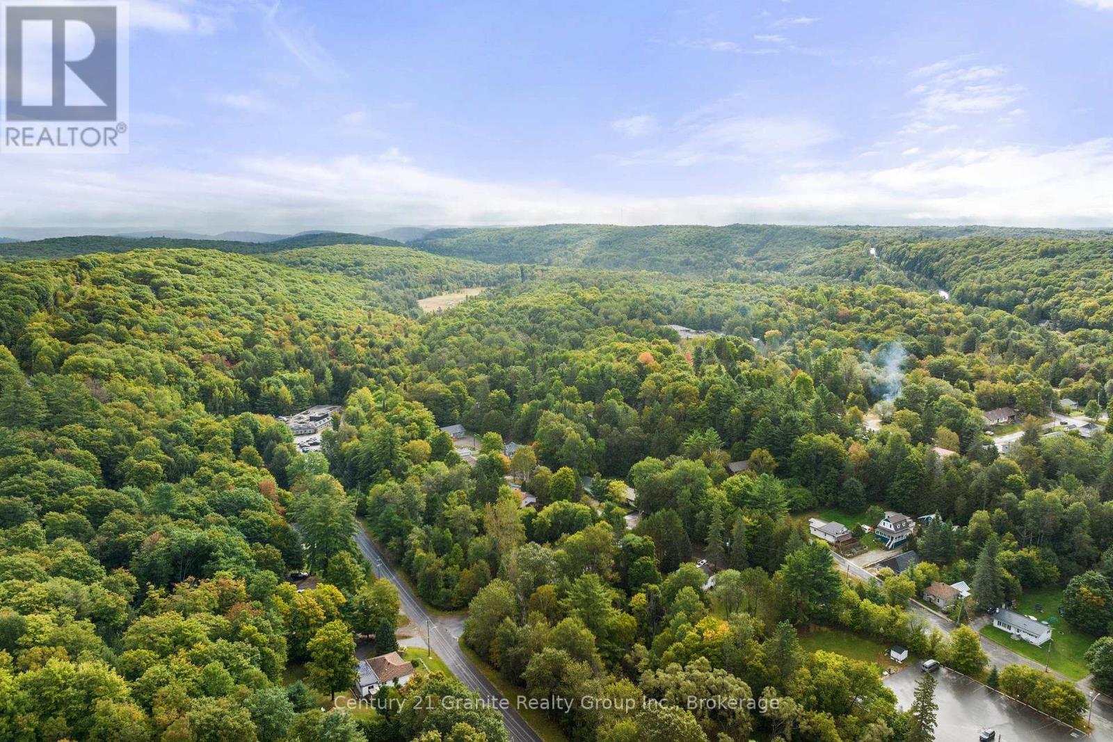 101 Victoria Street, Dysart Et Al, Ontario  K0M 1S0 - Photo 39 - X12784224