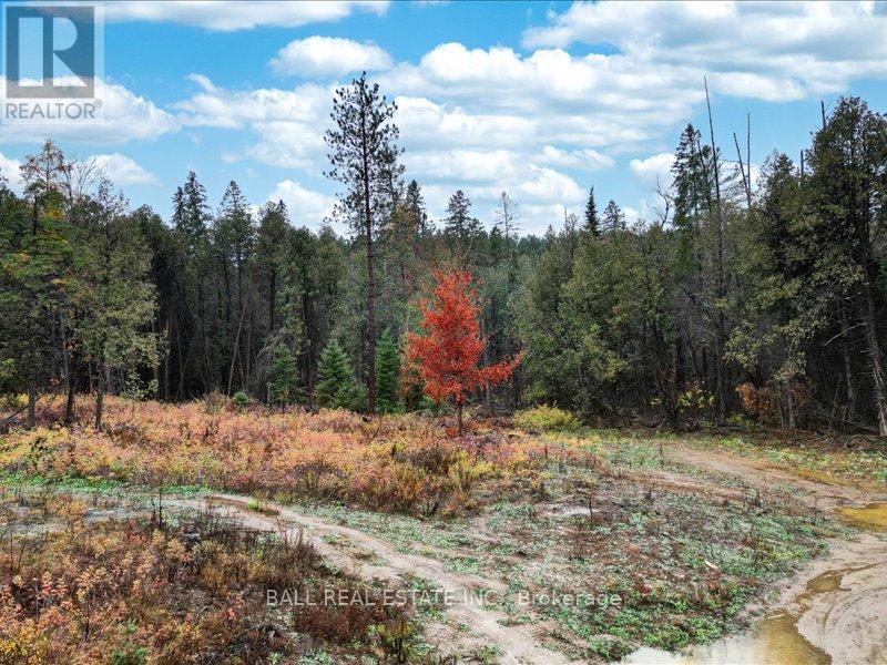 514 St. Ola Road, Limerick, Ontario  K0L 1W0 - Photo 34 - X12806550