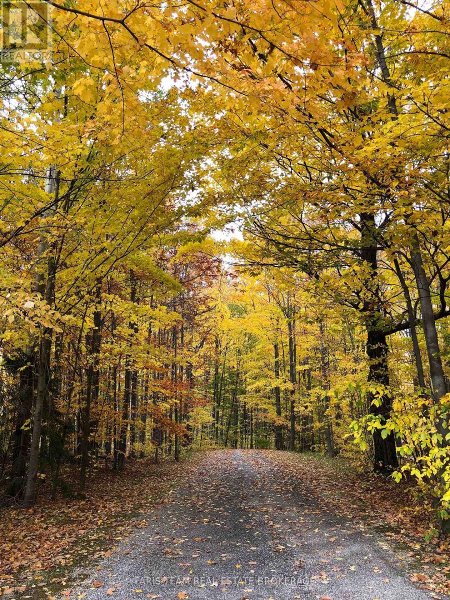 714329 Baseline Road, Grey Highlands, Ontario  N0C 1E0 - Photo 36 - X13052644