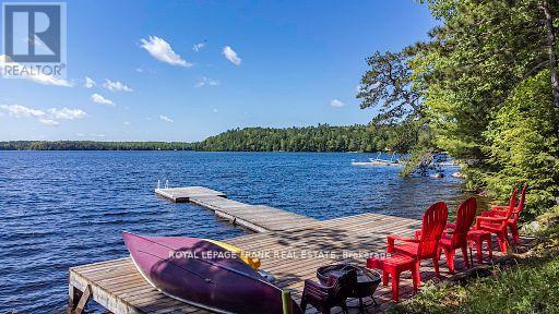 119 Fire Route 242, Trent Lakes, Ontario  K0L 1J0 - Photo 3 - X13052932