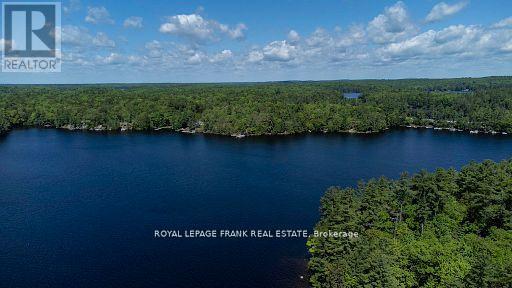 119 Fire Route 242, Trent Lakes, Ontario  K0L 1J0 - Photo 37 - X13052932
