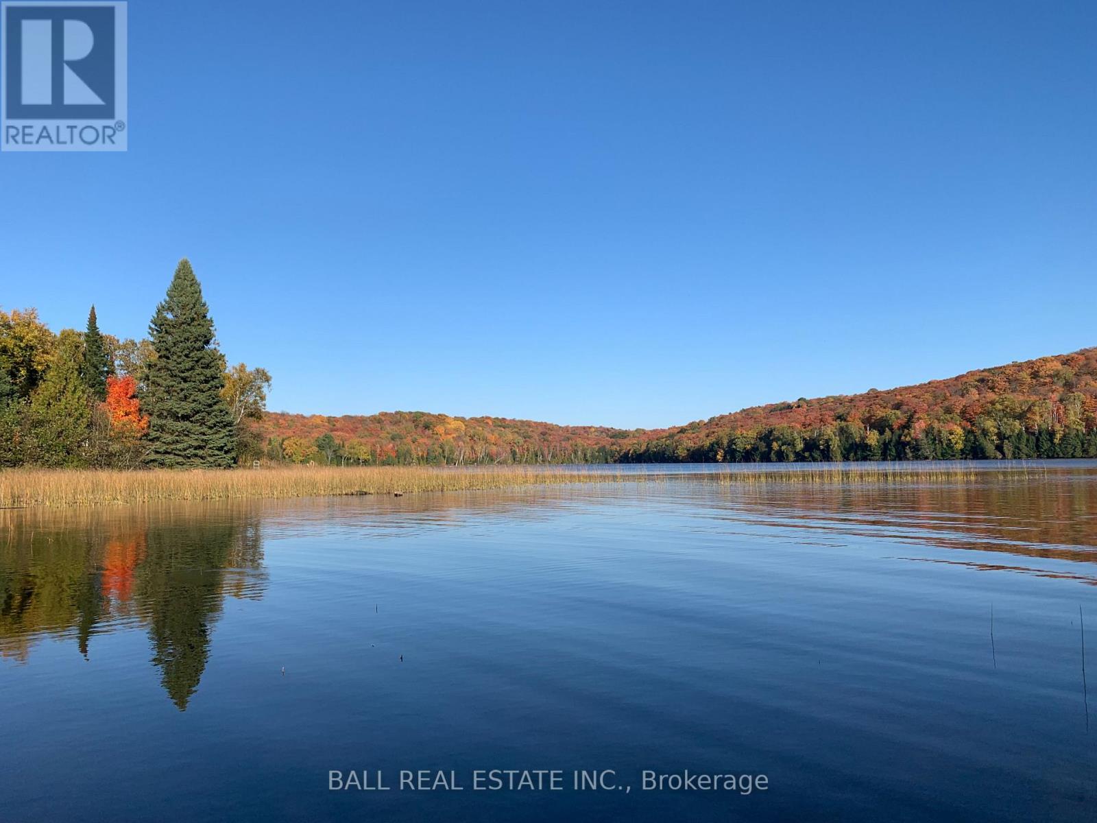 294 Albion Lake Drive, Faraday, Ontario  K0L 1C0 - Photo 2 - X13053012