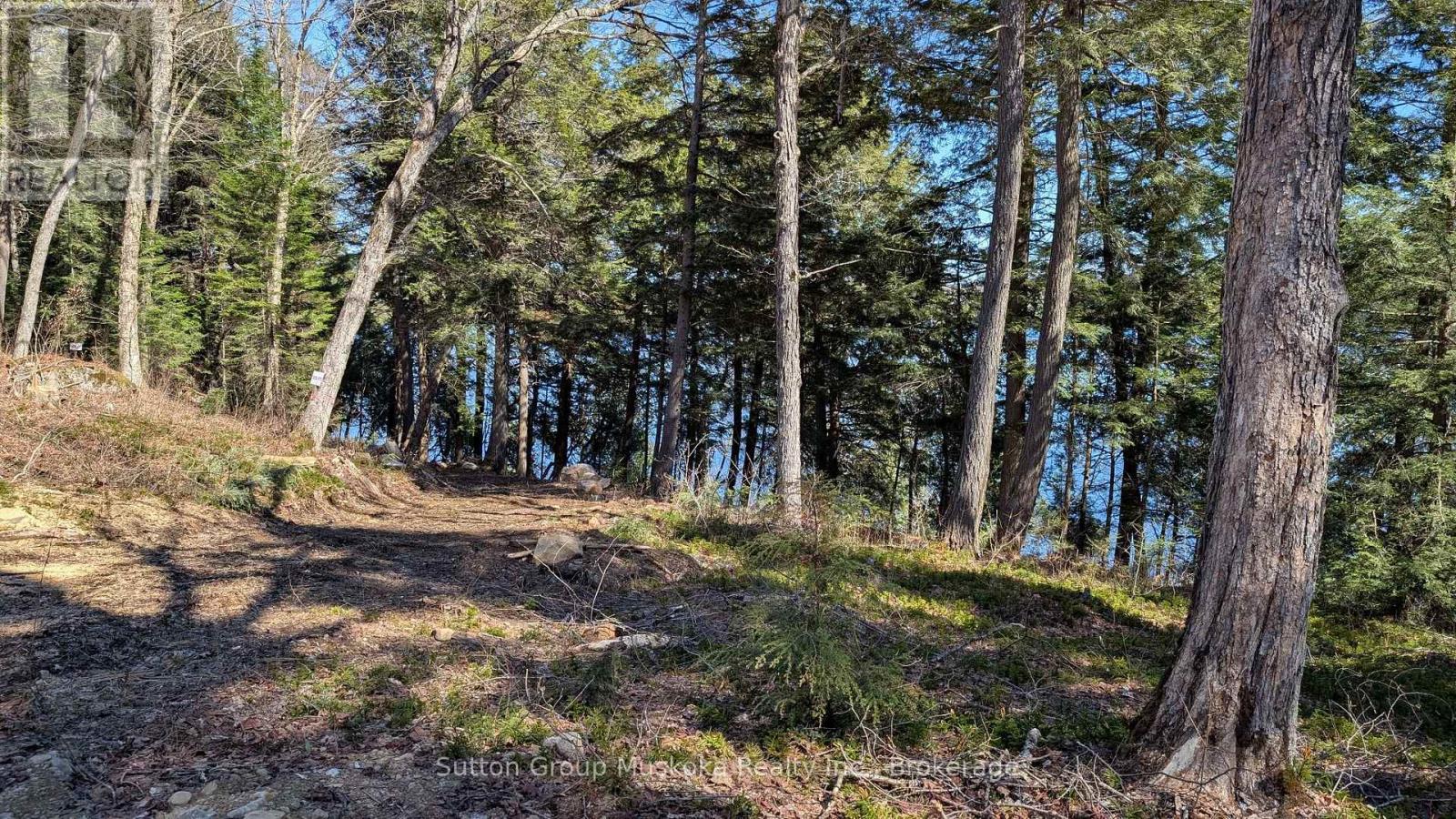 Lot 1 Esig Lane, Lake Of Bays, Ontario  P1H 2J6 - Photo 2 - X13052862