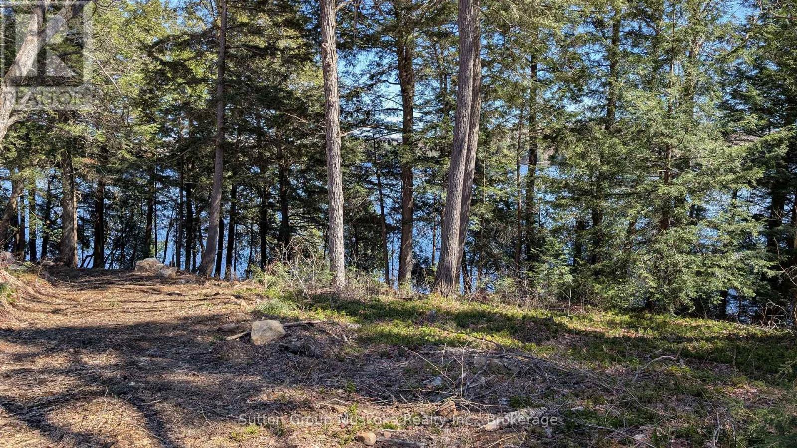 Lot 1 Esig Lane, Lake Of Bays, Ontario  P1H 2J6 - Photo 3 - X13052862