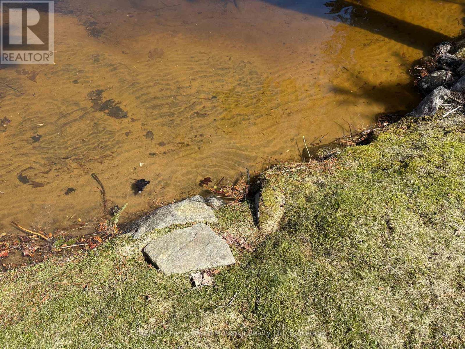 67 Sunnyshore Park Drive, Mckellar, Ontario  P2A 0B5 - Photo 37 - X13053088