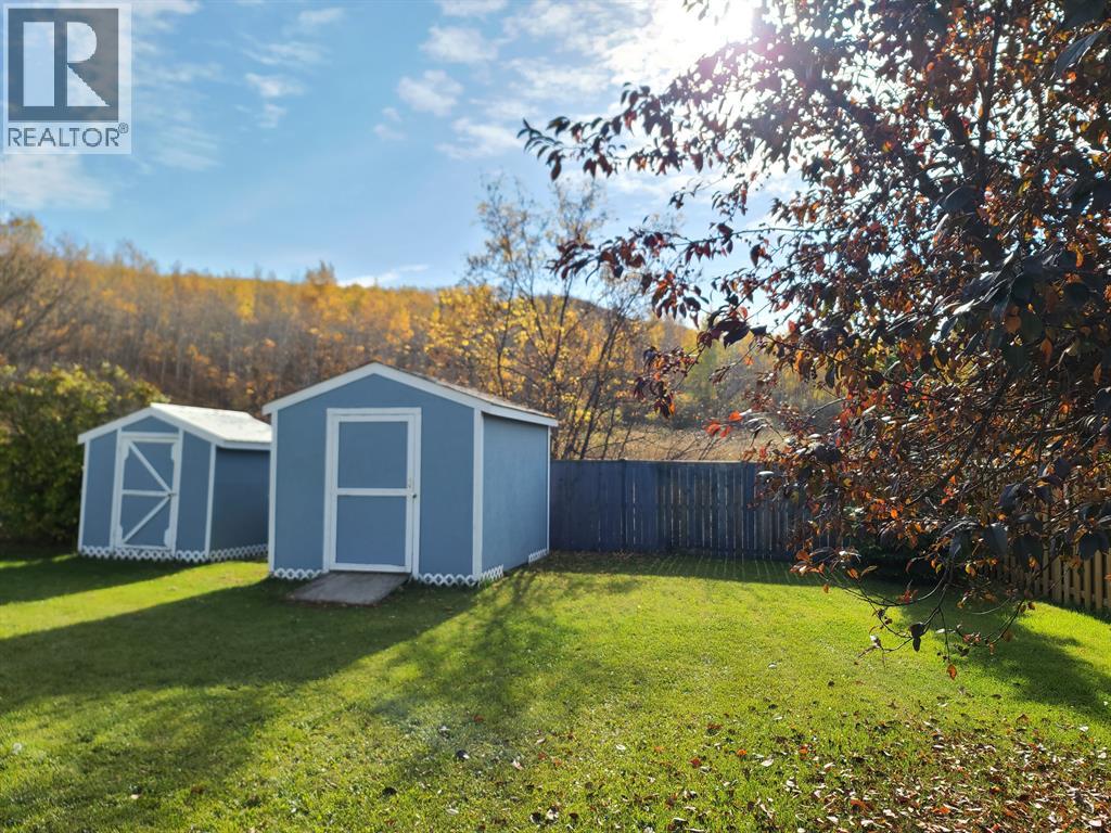 9909 80 Avenue, Peace River, Alberta  T8S 1A9 - Photo 12 - A2297730