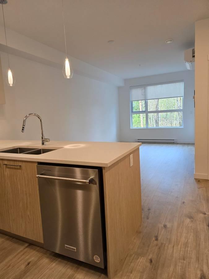 311 3182 Gladwin Rd, Abbotsford, British Columbia  V2T 0K8 - Photo 3 - R3080056