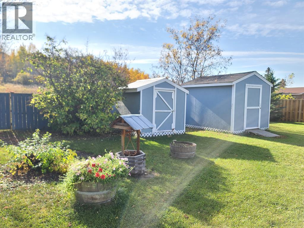 9909 80 Avenue, Peace River, Alberta  T8S 1A9 - Photo 9 - A2297730