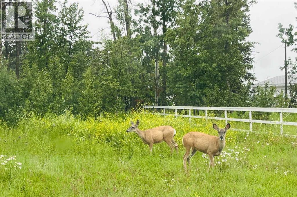 5400 Davies Street, Innisfail, Alberta  T4G 1E3 - Photo 11 - A2284930