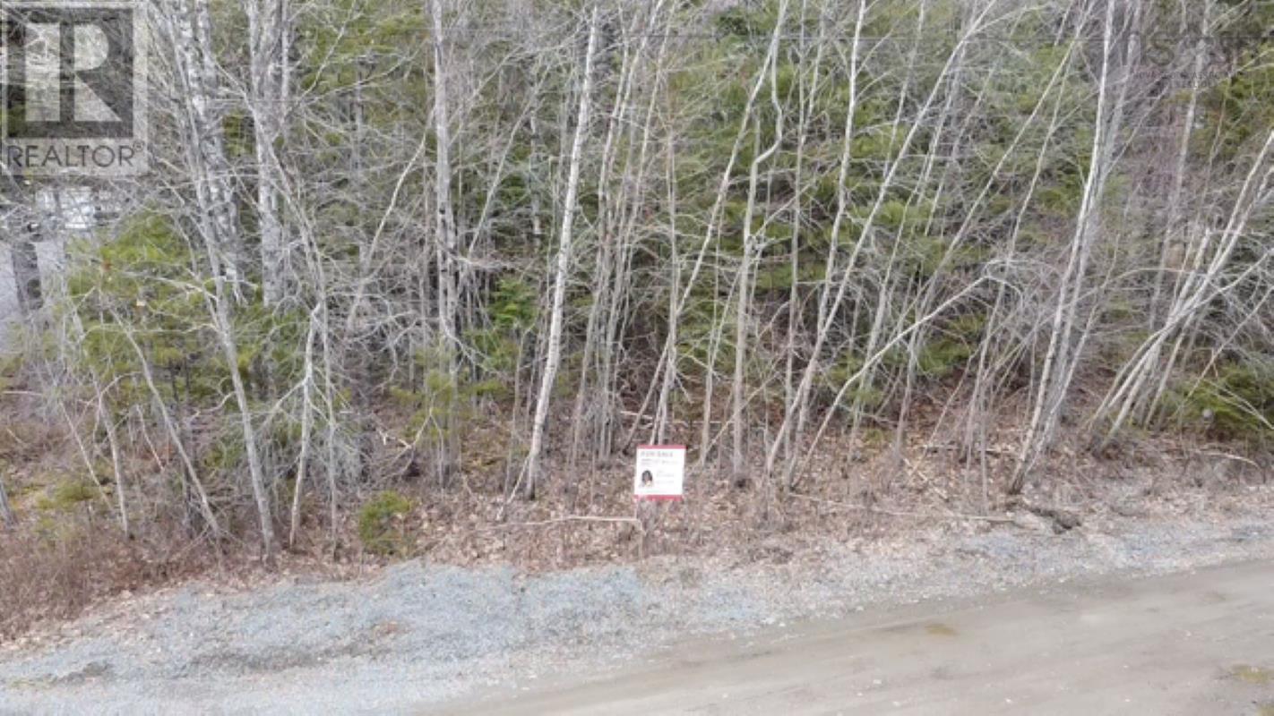 Lot Joudrey Avenue Avenue, Pinehurst, Nova Scotia  B0R 1E0 - Photo 2 - 202608375