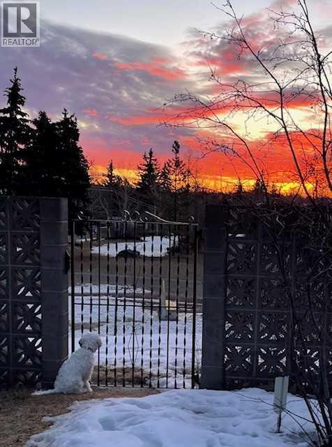 3316 24 Street NW, Calgary, Alberta  T2M 3Z7 - Photo 50 - A2298013