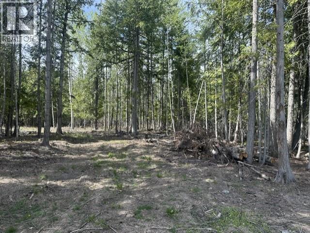 2305 Lions Ridge Road Lot# Pl 10, Celista, British Columbia  V1Y 5J4 - Photo 18 - 10385115