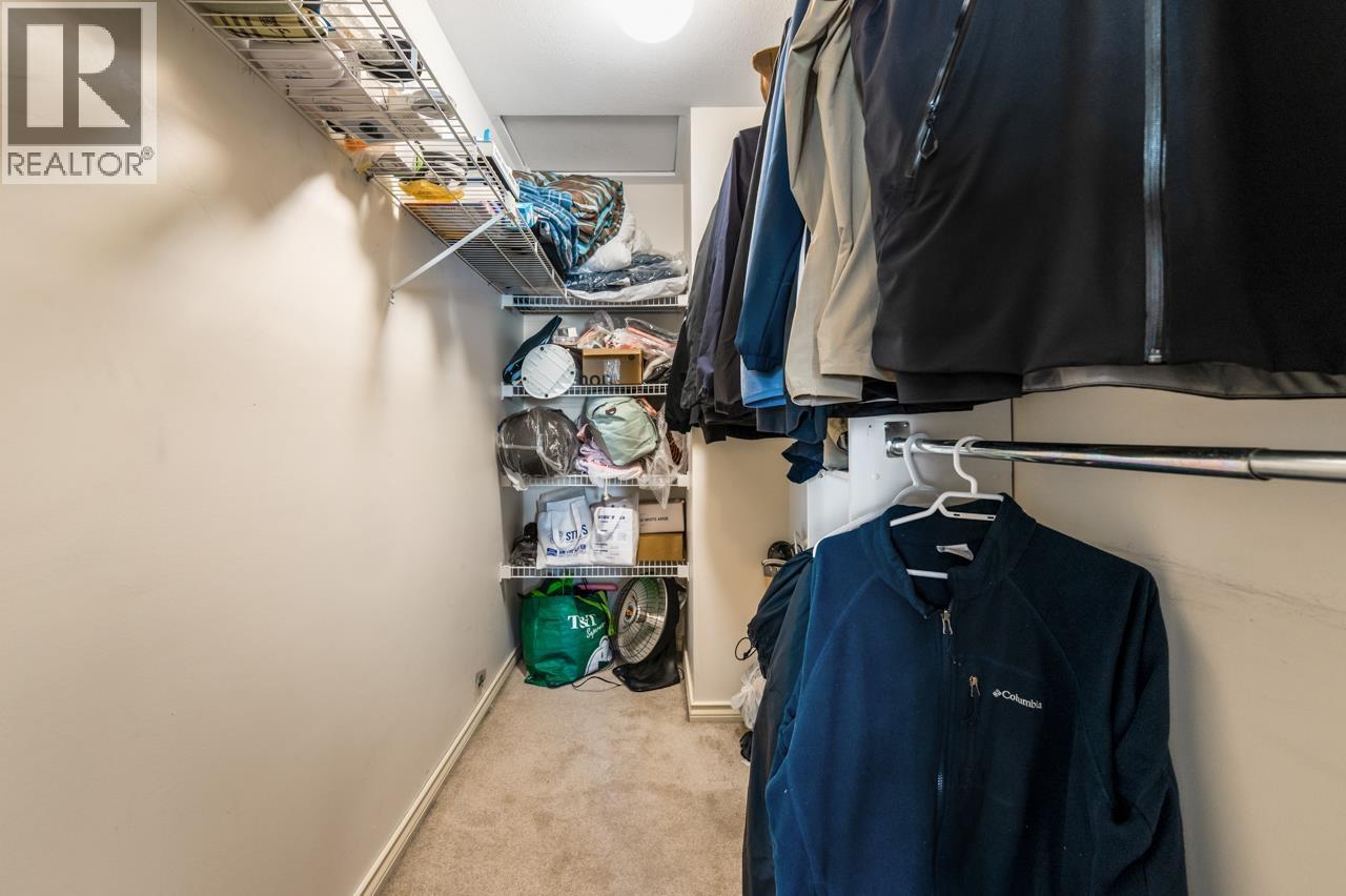 3156 Jervis Street, Port Coquitlam, British Columbia  V3C 3H7 - Photo 29 - R3116619