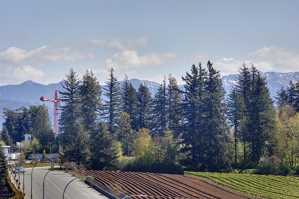 65 1419 Mccallum Road, Abbotsford, British Columbia  V2S 8B2 - Photo 34 - R3116663